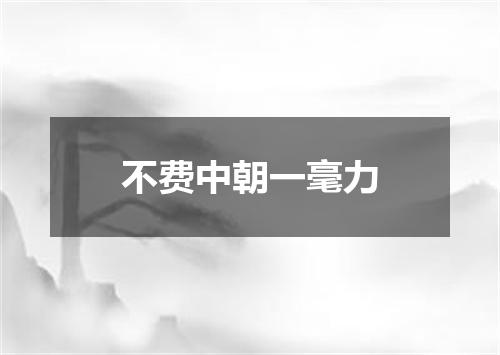 不费中朝一毫力