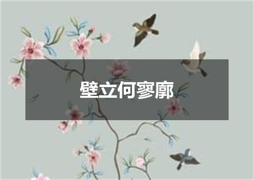 壁立何寥廓