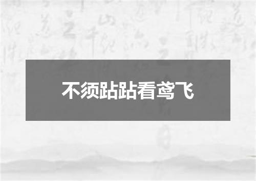 不须跕跕看鸢飞