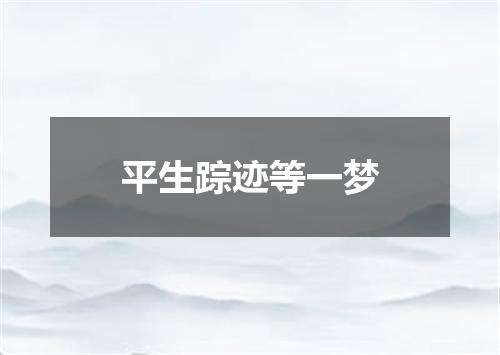 平生踪迹等一梦
