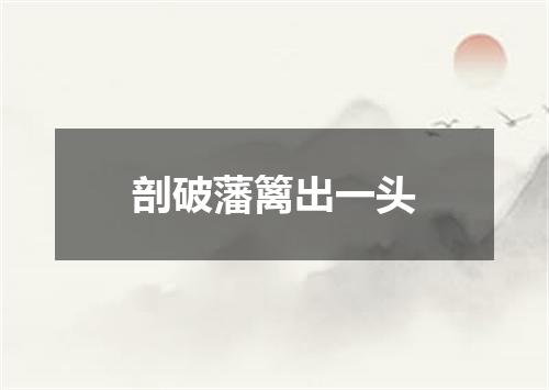 剖破藩篱出一头