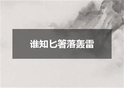 谁知匕箸落轰雷