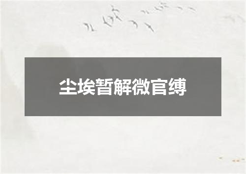 尘埃暂解微官缚