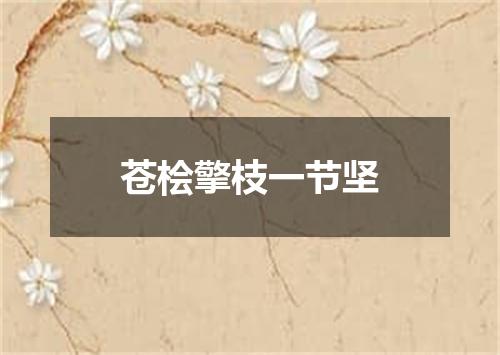 苍桧擎枝一节坚