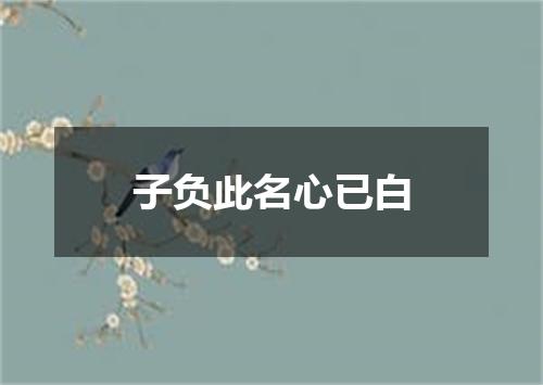 子负此名心已白