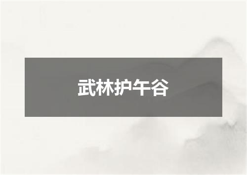 武林护午谷