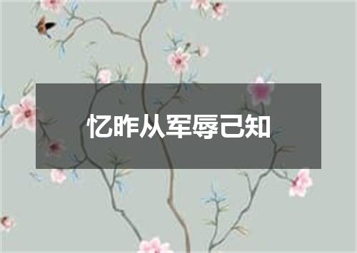 忆昨从军辱己知