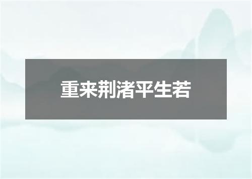 重来荆渚平生若