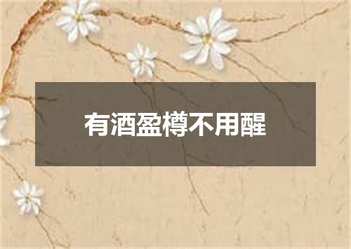 有酒盈樽不用醒