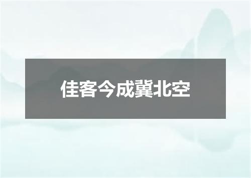 佳客今成冀北空