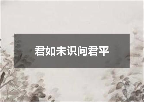 君如未识问君平