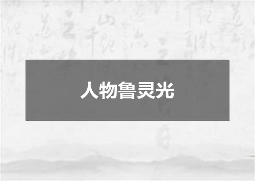 人物鲁灵光