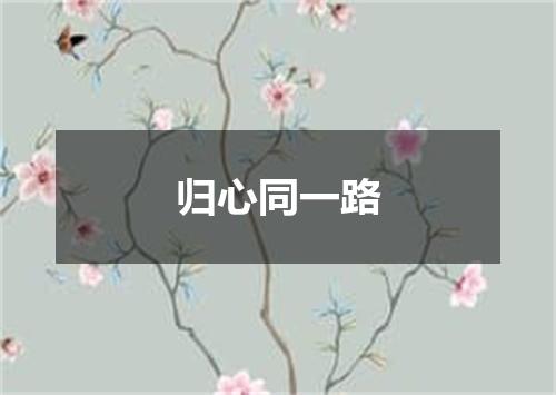 归心同一路