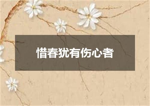 惜春犹有伤心者