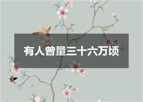 有人曾量三十六万顷