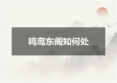鸣鸾东阁知何处