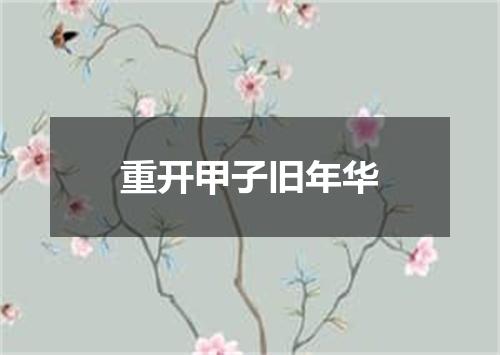 重开甲子旧年华