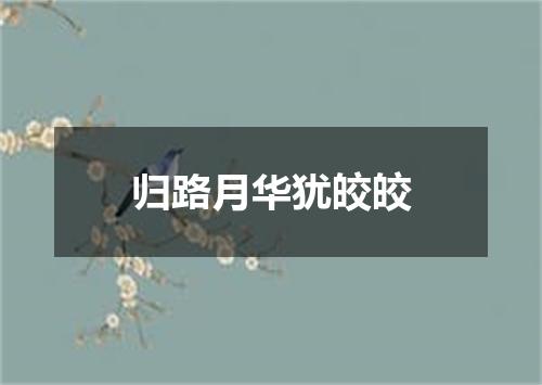 归路月华犹皎皎