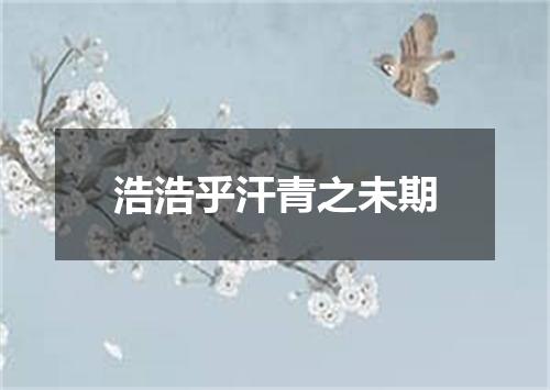 浩浩乎汗青之未期