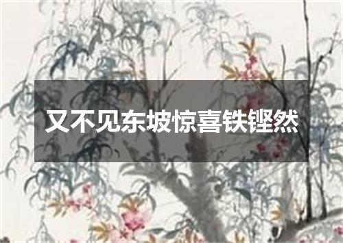 又不见东坡惊喜铁铿然