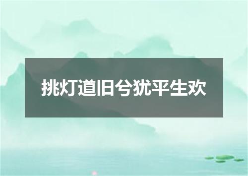挑灯道旧兮犹平生欢