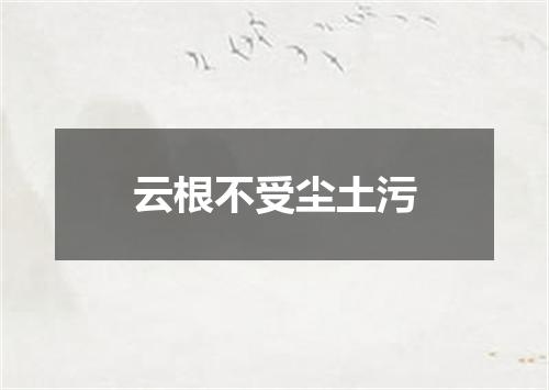 云根不受尘土污