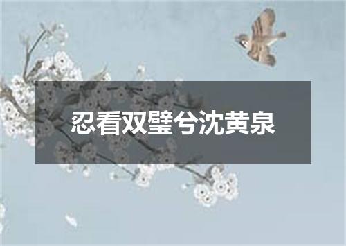 忍看双璧兮沈黄泉