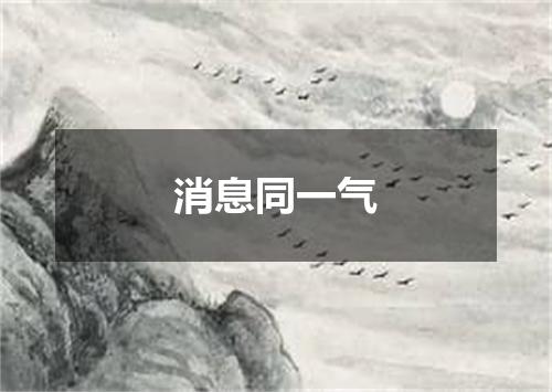 消息同一气