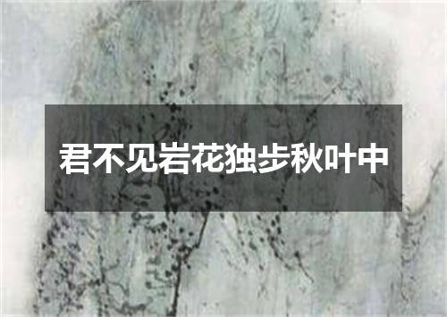 君不见岩花独步秋叶中