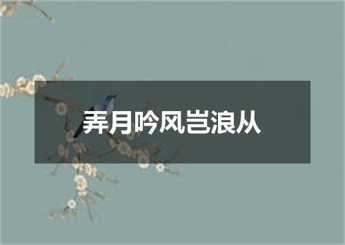 弄月吟风岂浪从