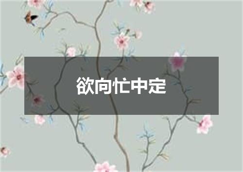 欲向忙中定