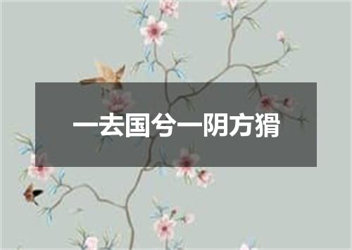 一去国兮一阴方猾