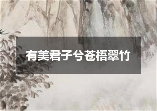 有美君子兮苍梧翠竹