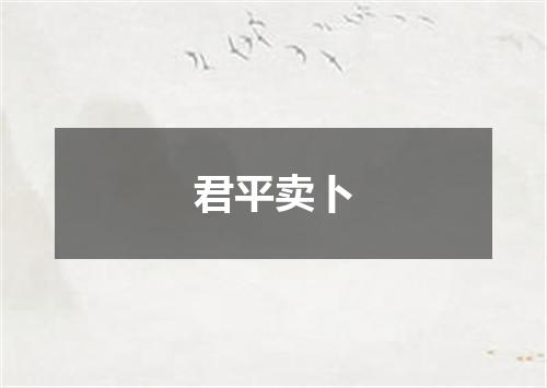 君平卖卜