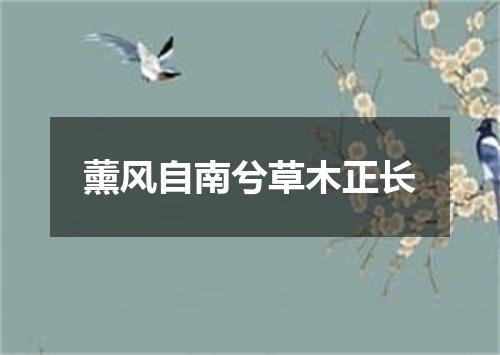 薰风自南兮草木正长
