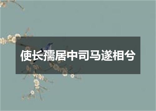 使长孺居中司马遂相兮