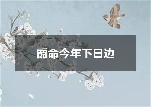 爵命今年下日边