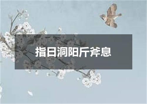 指日洞阳斤斧息