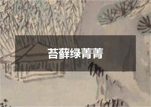 苔藓绿菁菁
