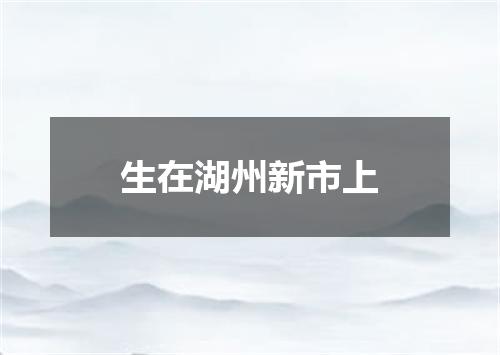 生在湖州新市上