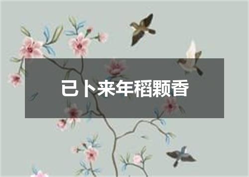 已卜来年稻颗香