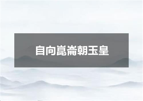自向崑崙朝玉皇