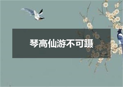 琴高仙游不可蹑