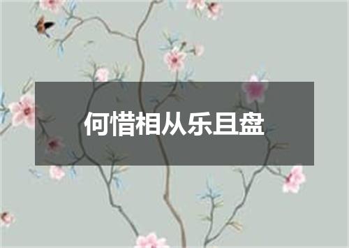 何惜相从乐且盘