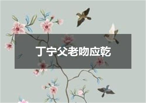 丁宁父老吻应乾