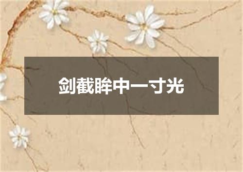 剑截眸中一寸光
