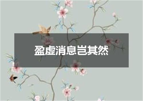 盈虚消息岂其然