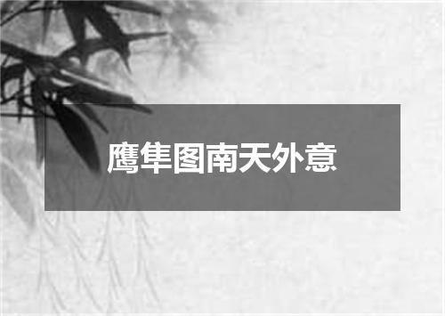 鹰隼图南天外意