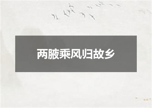 两腋乘风归故乡