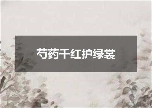 芍药千红护绿裳